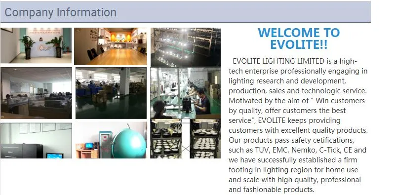 Commercial LED Light Module Focus Lamp Spot Lighting Fixtures COB LED Ceiling Down Light Frame Housing