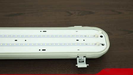 TÜV/CE/CB-zugelassene wasserdichte IP65-Beleuchtung, dreifach wasserdichtes LED-Licht, dreifach wasserdichtes LED-Licht, dampfdichtes Licht, wasserdichtes LED-Licht, wetterfestes Licht