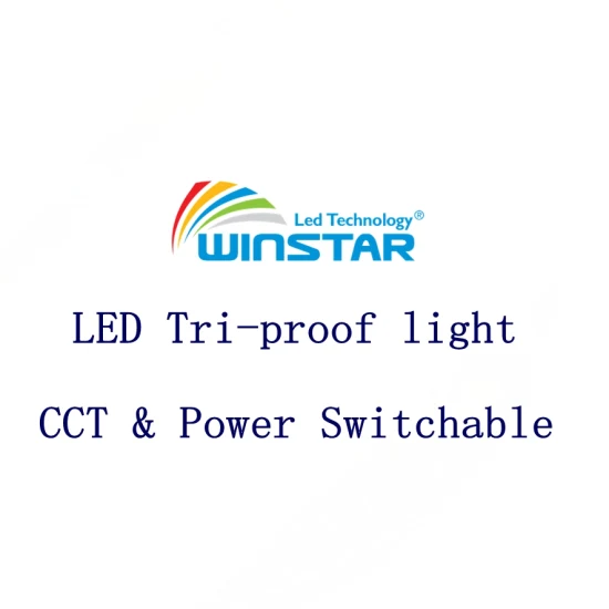 CCT & Netzschalter LED Tri Proof Light Wasserdicht Dimmbar mit