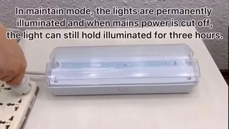4,5 W hochwertige LED-Notleuchte zum niedrigsten Fabrikpreis